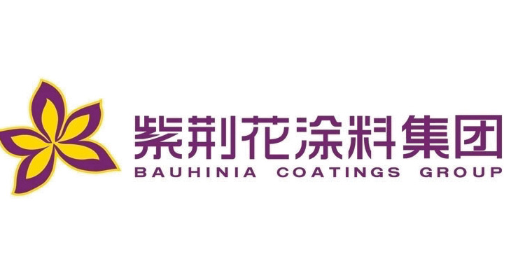 Bauhinia Advanced Materials Group