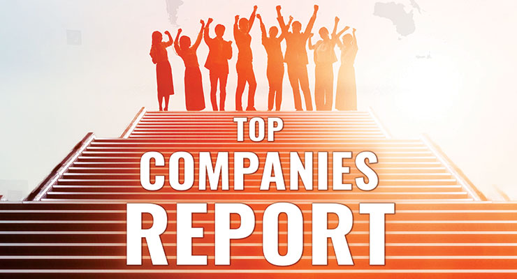 The 2021 Top Companies Report