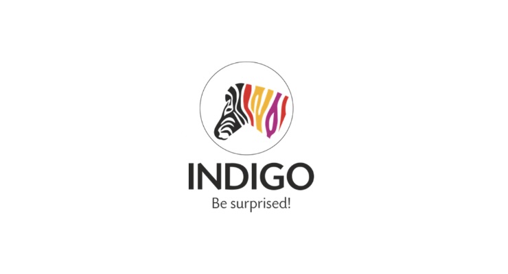 Indigo Paints
