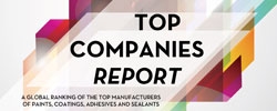The 2015 Top Companies Report